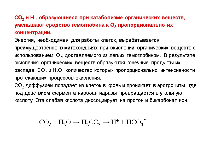 CO2 и Н+, образующиеся при катаболизме органических веществ, уменьшают сродство гемоглобина к О2 пропорционально